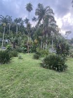 Im Orchideengarten in Soroa