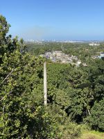 Der Stadt- und Meerblick ist schon fast zugewachsen