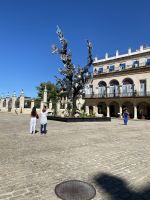 Moderne Kunst neben dem Gründungsort Havannas