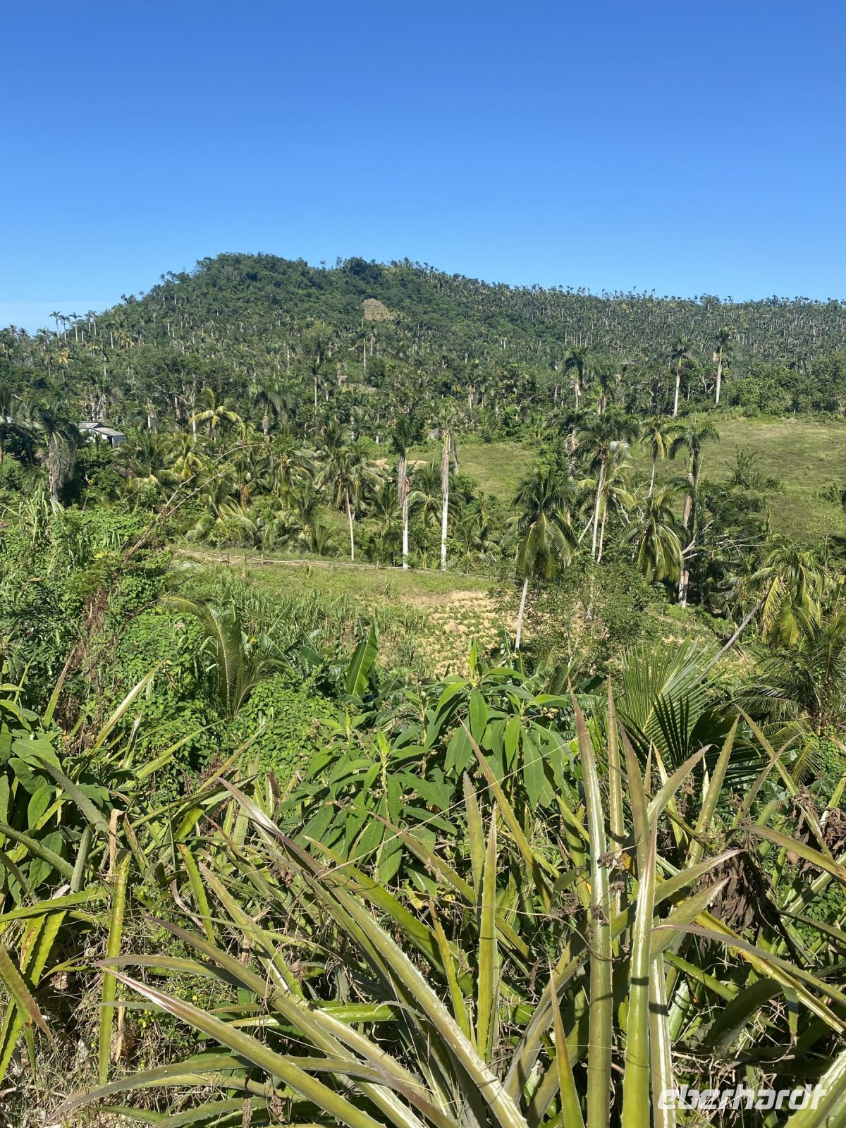 Landschaft im Tal des Yumuri