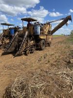 Das Alter sieht man ihr deutlich an