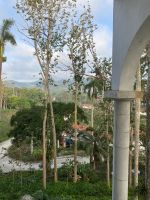 Vom Hotel kann man direkt ins Dorf schauen