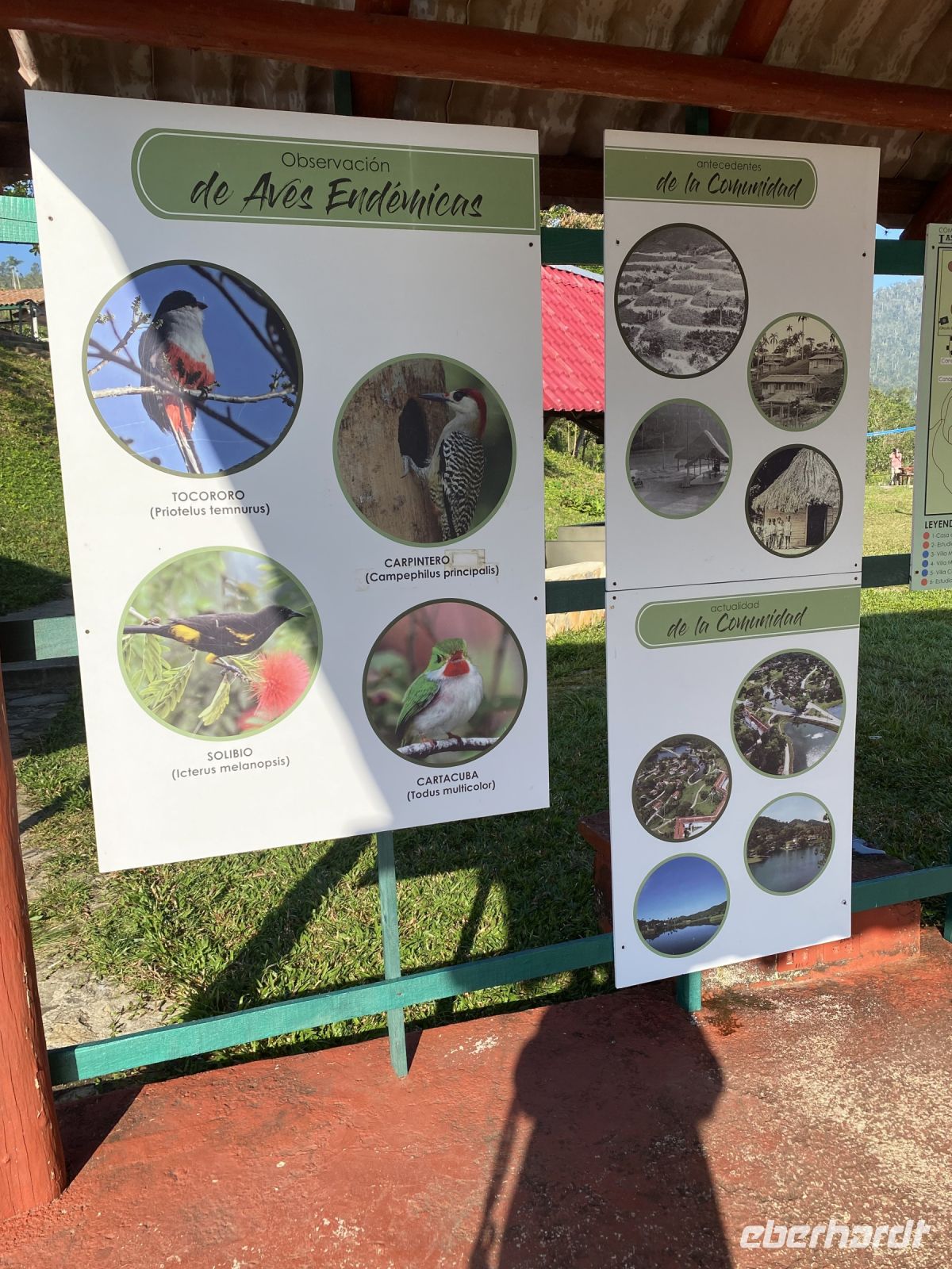 Es gibt viele seltene Tiere und Pflanzen