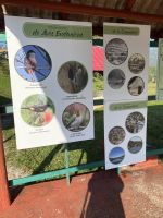 Es gibt viele seltene Tiere und Pflanzen