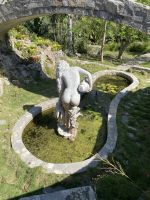 Eine Gartenschönheit