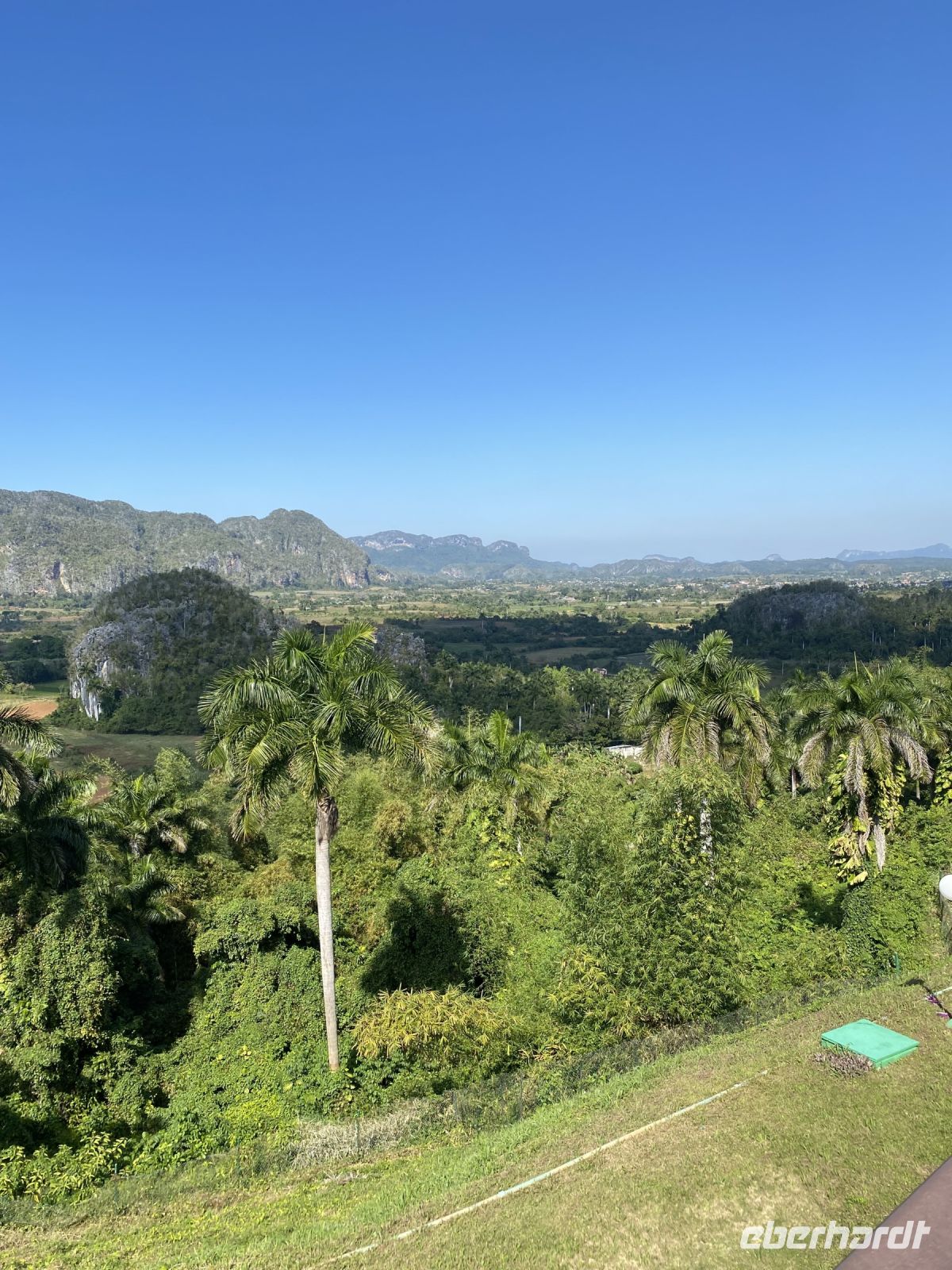 Zwischen den Mogotes gedeiht der Tabak