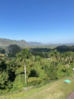 Zwischen den Mogotes gedeiht der Tabak