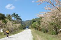 Radtour durch die Sierra Escanbray4