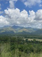 Rund um Trinidad wurde früher viel Zuckerrohr angebaut