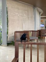 Er singt uns ein Ständchen