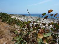 Küste bei Guantanamo