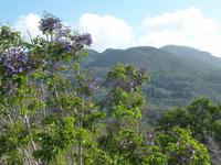 Sierra del Escambray