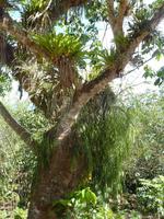 Sierra del Escambray