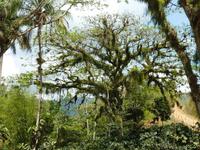 Sierra del Escambray