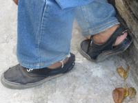 261 Schuhe von Don Carlos