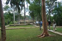 Terrazas_Kaffeeplantage