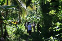 Baracoa_Wanderung