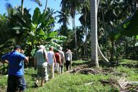 Baracoa_Wanderung