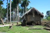 Baracoa_Wanderung
