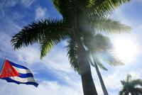 Santiago_Palmen_Kuba