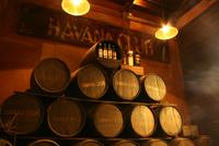 Havanna_Rum_Museum