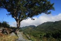 Sierra_Maestra_Mirador