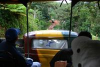 Toppes_de_Collantes_Lkw