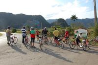 Vinalestal Dos Hermanos