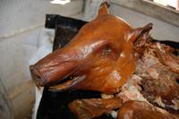 Spanferkel bei einer Familie in den Bergen