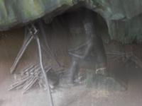 353DSCN9436