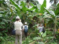 Wer bekommt das schönste Bild?