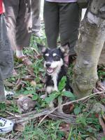 Unser treuer Wegbegleiter