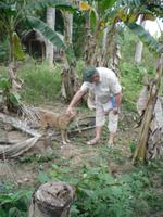 Wer ist niedlicher,-)