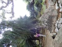 384DSCN9467