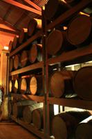 Im Museum von Havana Club