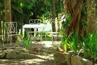 Auf dem Anwesen von Hemingway