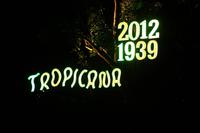 Einen Abend in der weltberühmten Tropicana Show