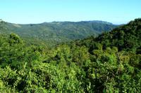 Das Escambray Gebirge