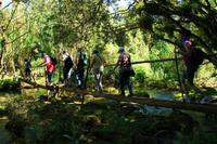 Unterwegs im Escambray Gebirge