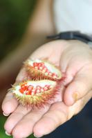 Unterwegs im Escambray Gebirge