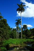Unterwegs im Escambray Gebirge