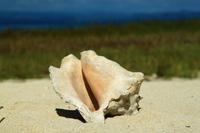 Am Strand von Cayo del Sol