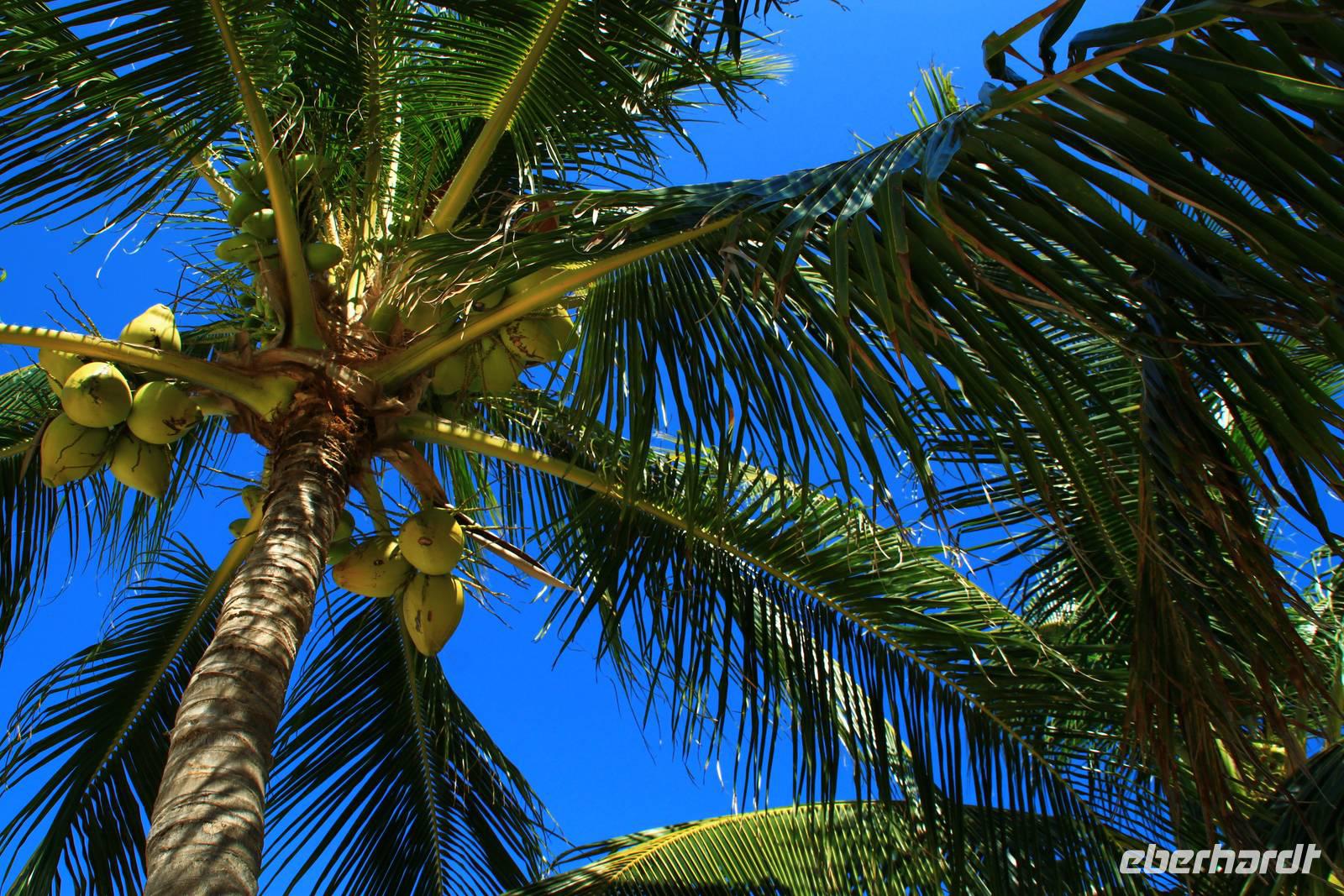 Am Strand von Cayo del Sol