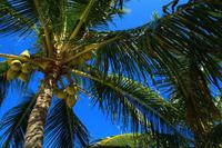 Am Strand von Cayo del Sol