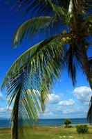 Am Strand von Cayo del Sol