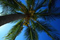 Am Strand von Cayo del Sol