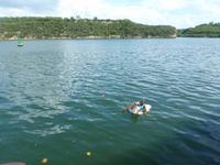 015 Einfallsreiche Schwimmerin