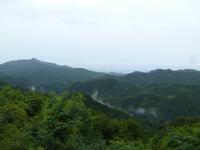 038 Grüner geht es nicht