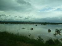 076 Überschwemmungen durch den Hurricane