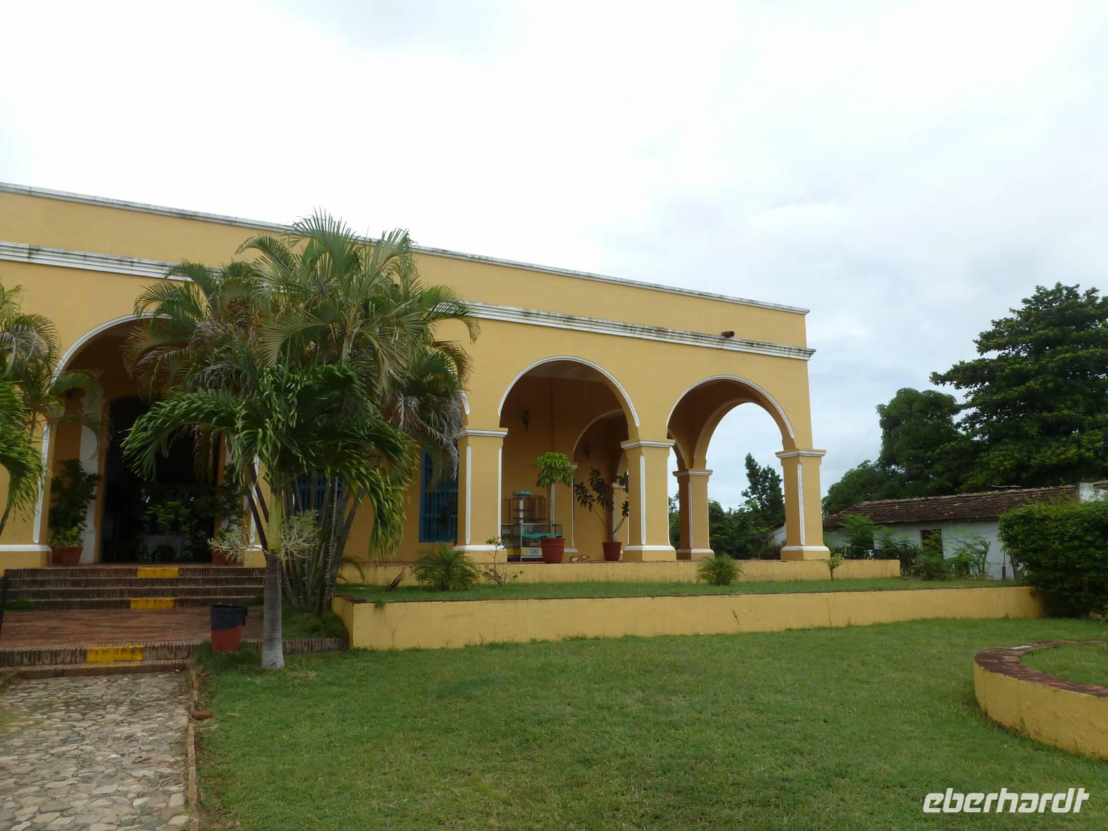 080 Und die Pracht der Zuckerrohrplantage daneben